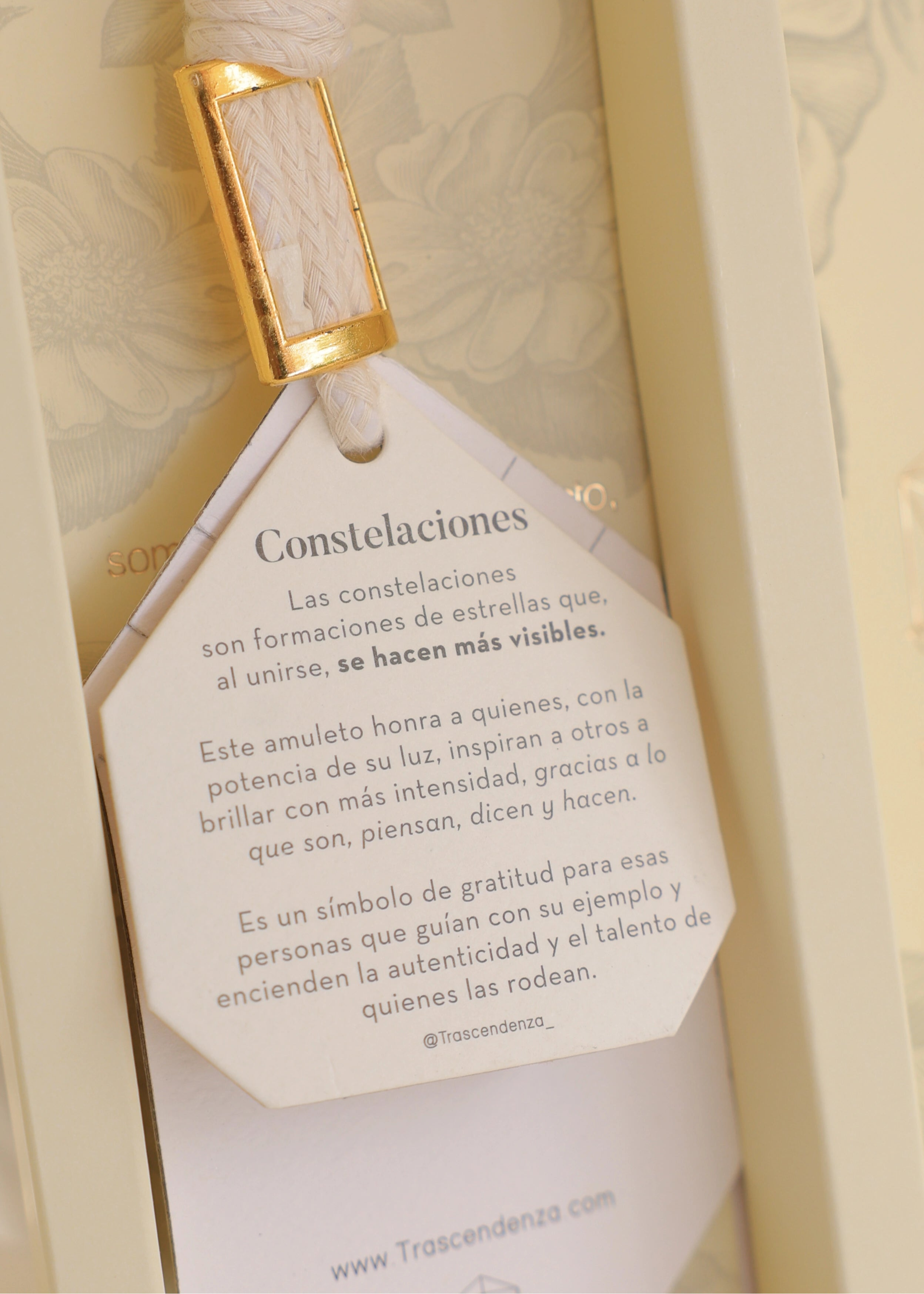 Aretes Intercambiables: Pide un Deseo Oro